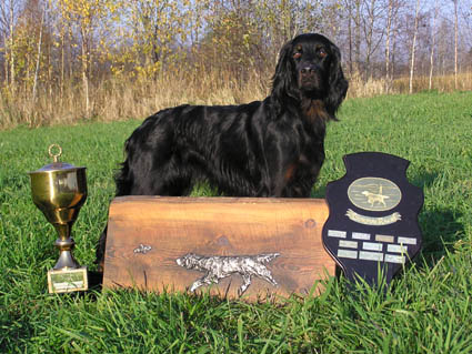 Kone ja kiertopalkinnot