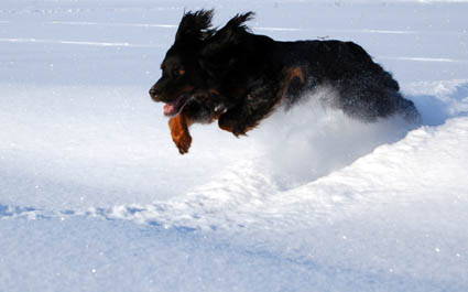 Kone talvitreeneiss�