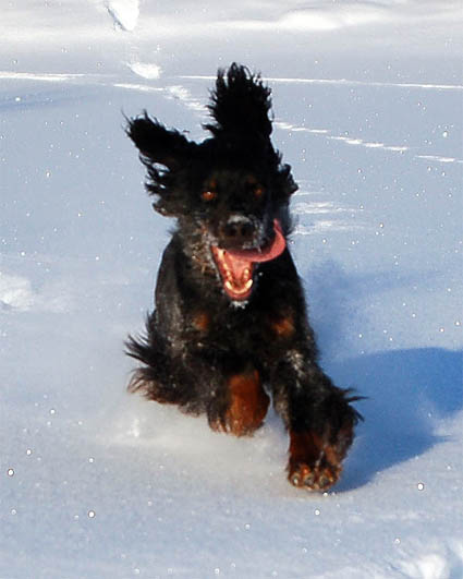 T��lt� tullaan!