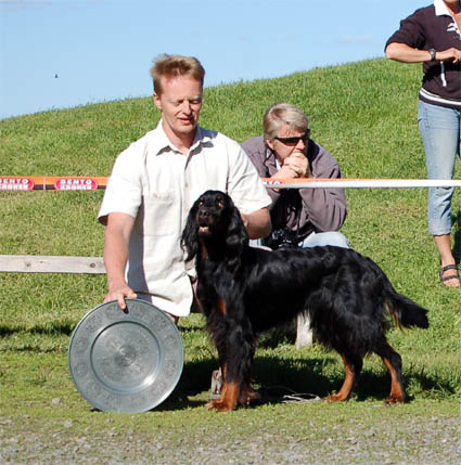 Kone kaunein k�ytt�koira