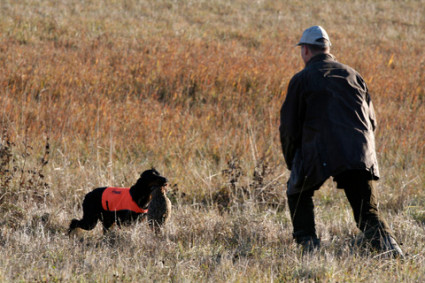 Lihaa pilaamaton nouto-ote!