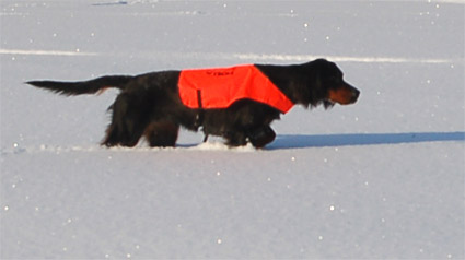 Talven pakkasessa helmikuussa 2007