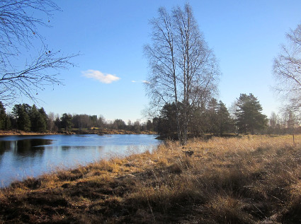 Joen rannalla