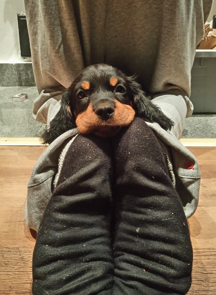 Moi!