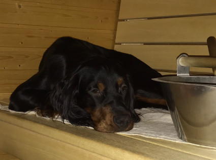 Sauna-H�n�