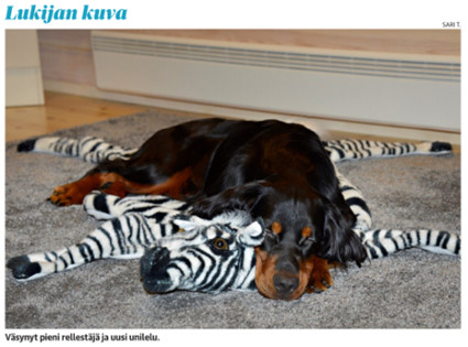 Kaleva 29.12.2016