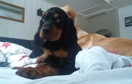 Tuo ei oo kiltti