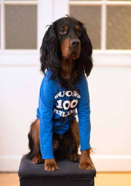 Suomi 100 vuotta!