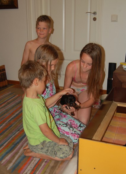 Pentujen esittely�