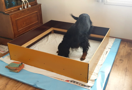 Vattu tutustuu laatikkoon