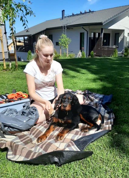 Odi ja Aurora