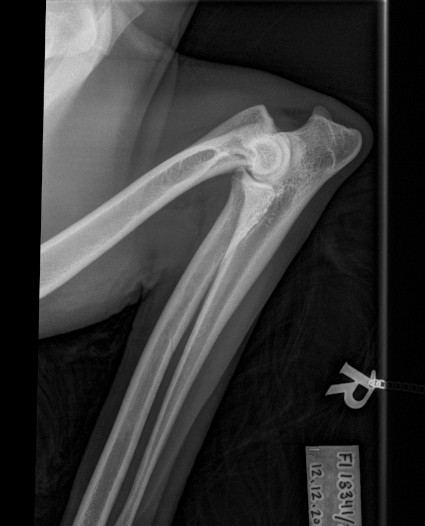 Sulon kyyn�r�t - 0/0