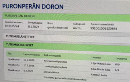 Louvren lonkkakuvaustulos A/A