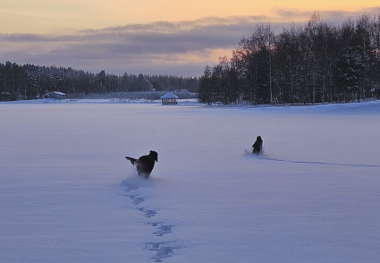 Vattu ja Vilu