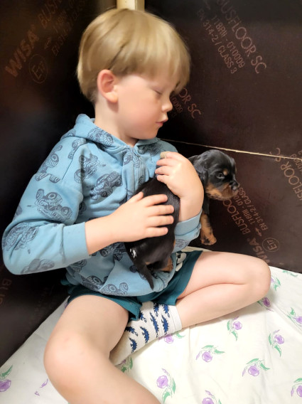 Toinen tyt�ist�