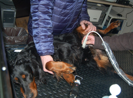 Rihla p�yd�ll�