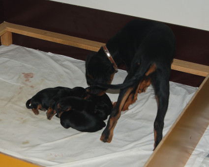 Mit�s n�m� on?