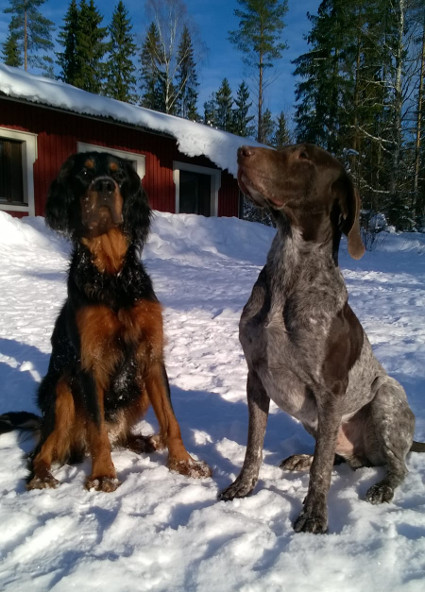 J�r� ja kouluttaja