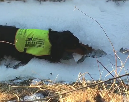 Jullen kuppi j��ss�