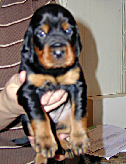 Katja silm�t vasta-auenneena