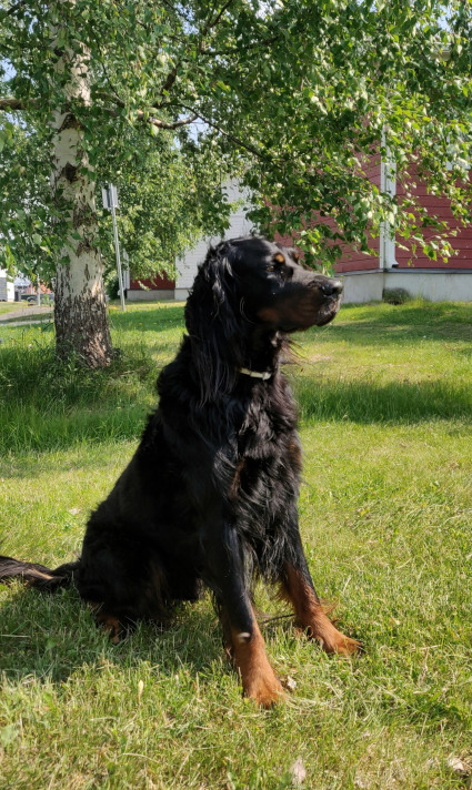 Luca