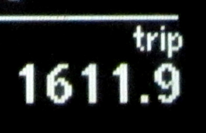 Trippi