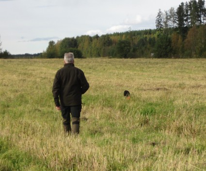 Seppo menee seisonnalle