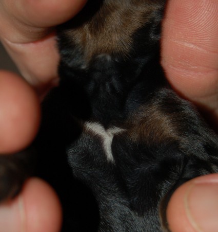 Yksil�llinen merkki