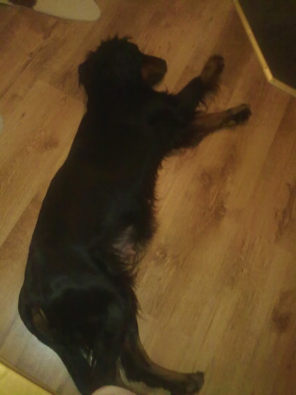 Joulukuun puoliv�liss�