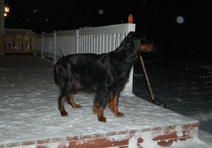 Nen� viimeisill��n