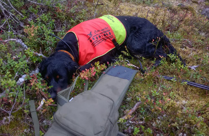 Rankka jahti vaatii veronsa