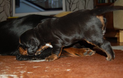 Nyt on maha ylh��ll�!