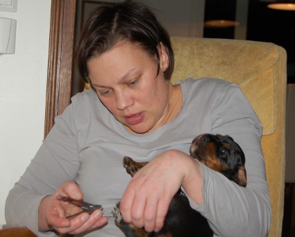 Tarja leikkaa kynsi�