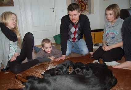 Tatti ihastellaan