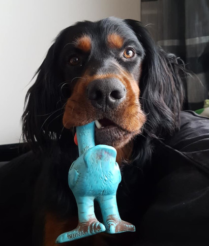 Hei!