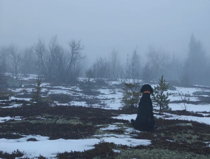 Tunturissa