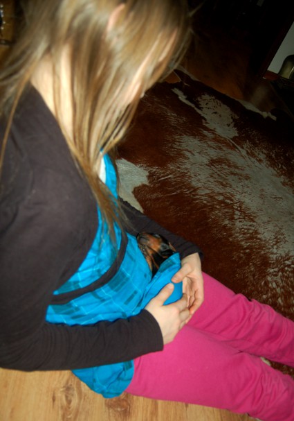 Heta hoitaa