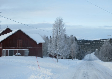 Olden