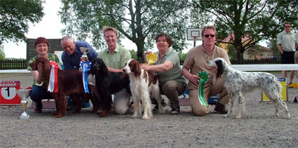 Best in show