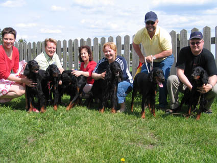 Puronper�n koirat erikoisn�yttelyss�