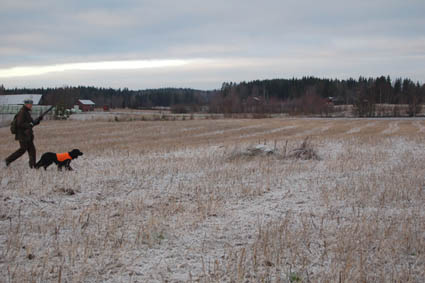 Uuden vuoden aattona