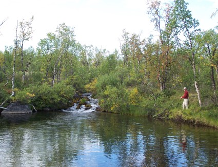 Sy�m�kaloja onkimassa