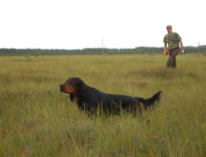 Marko menee seisonalle