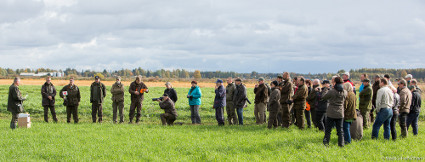Yleis�� ja kuvaajia