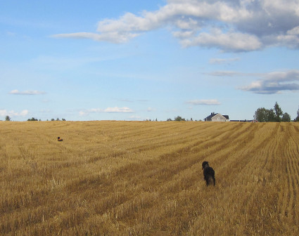 Vattu ja Milla