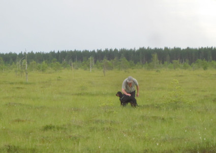 Suolla