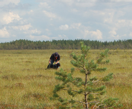 Hyv� poika!