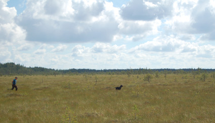 Seisonta