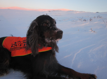 Vattu