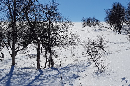 Paikalla